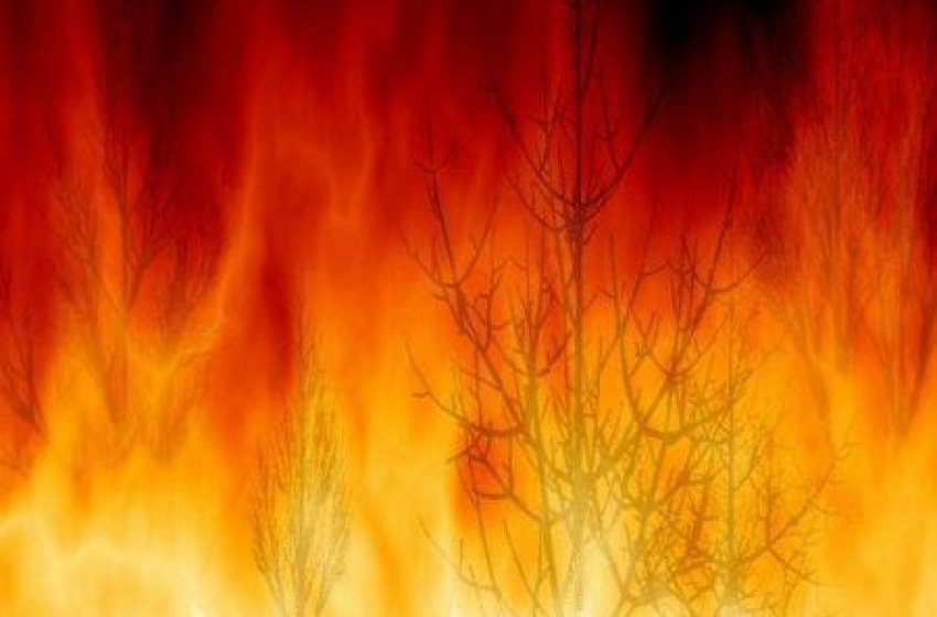 Rogo nel pescarese, bruciati quattro ettari di bosco vicino a Bussi