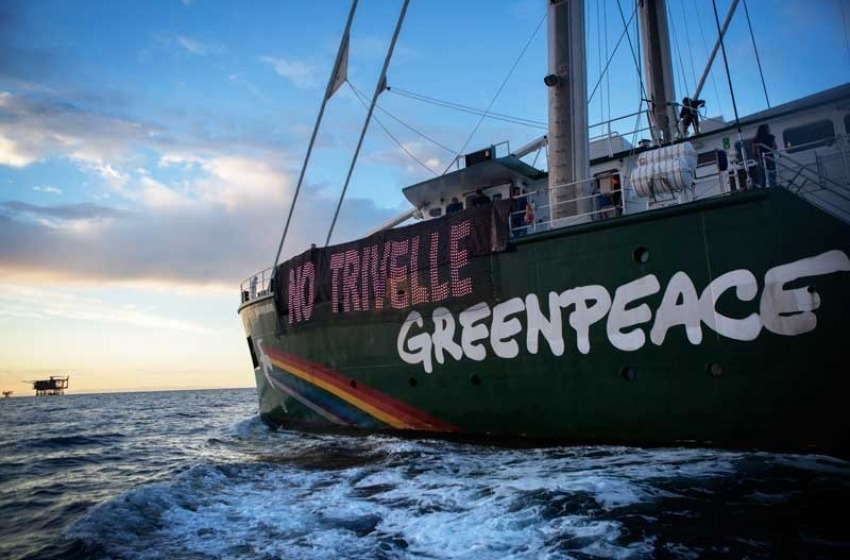 Greenpeace sulle 'Cozze di Piattaforma': "Finiscono nei nostri piatti, sono contaminate?"