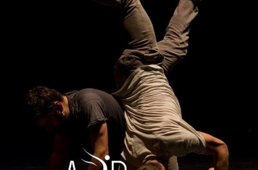 Almadanza: opportunità di formazione professionale per diventare ballerini professionisti