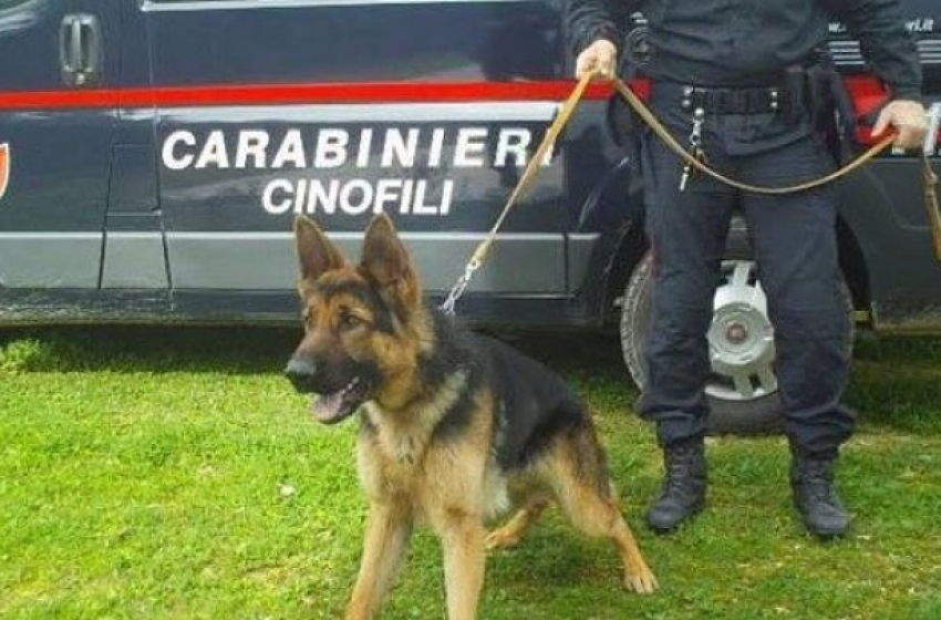 ‘Blitz’ antidroga scuole pescaresi. Minore denunciato con l’hashish