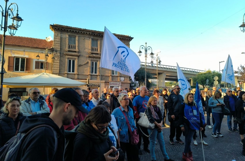 Animalisti in piazza contro la delibera ammazza cervi