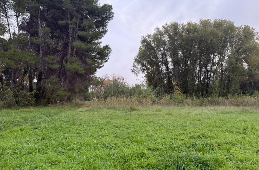 Via libera al Parco Nord ‘cerniera’ con Montesilvano