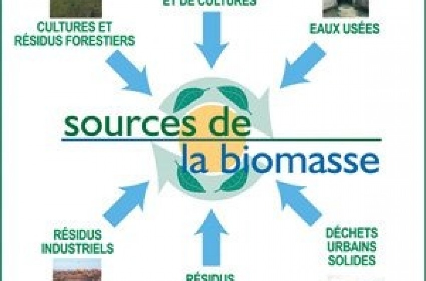 Obiettivo biomasse
